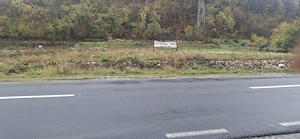 Teren de închiriat 