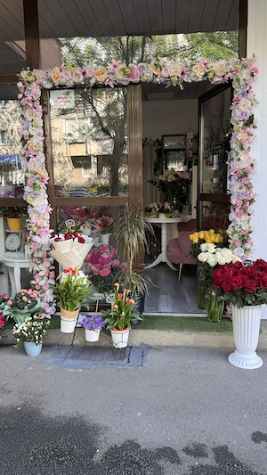 Vand afacere la cheie completă pentru începere din prima zi