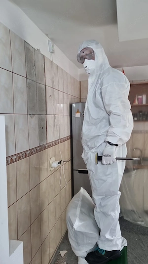 Decopertare și Pregătire Pereti pentru Renovare
