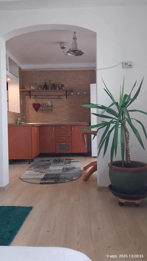 Vand apartament 2 camere Popa Sapca (54m2) etj.3 - imagine 2