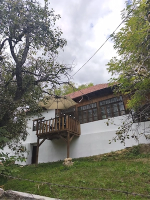 Casa traditionala renovata la munte Buzau-Patarlagele-Manastirea Carnu  - imagine 10