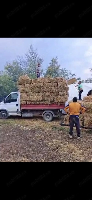 Vând baloți de fân uscat pentru animale   LipăneștiScriere Vând baloți de fân uscat, dreptunghiulari