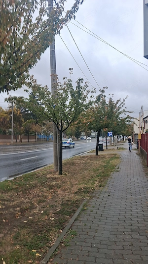 O colegă de Garsonieră 