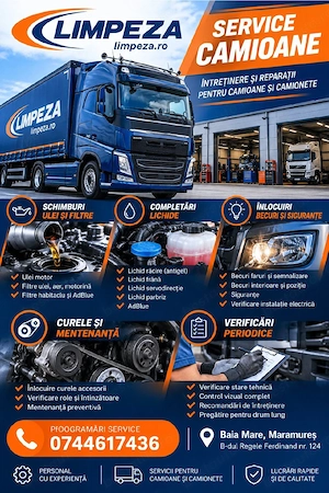 Service camioane autoutilitare Baia Mare - imagine 3