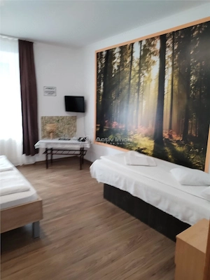Casa in Hunedoara, central - imagine 3