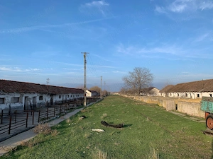 Complex 7 clădiri + teren 11500mp Nădlac (cf persoana fizica) - imagine 2
