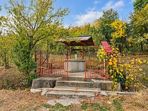 Vând teren 2336 mp, cu casă tradițională și livada în comuna Runcu, satul Valea Mare - imagine 3
