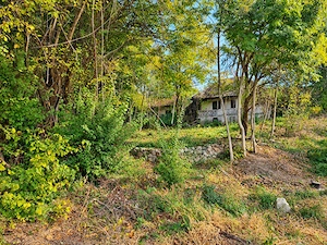 Vând teren 2336 mp, cu casă tradițională și livada în comuna Runcu, satul Valea Mare - imagine 2