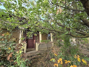 Casa batraneasca jud. Giurgiu,  comuna Gogoșari,  sat Izvoru - teren intravilan 700 mp - imagine 4