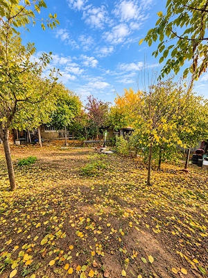Proprietar vând casă locuibilă, teren 599 mp, Huși   str. Albița - imagine 7