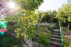 DE INCHIRIAT - Apartament in vila - 2 camere - Str. Trivale - imagine 12