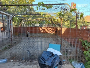 Casa individuala cu 4 camere si teren 486 mp | Timisoara - Plopi - imagine 2