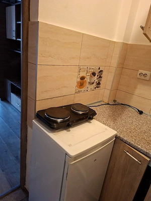 propietar ,vand garsoniera Buziasuui  - imagine 6