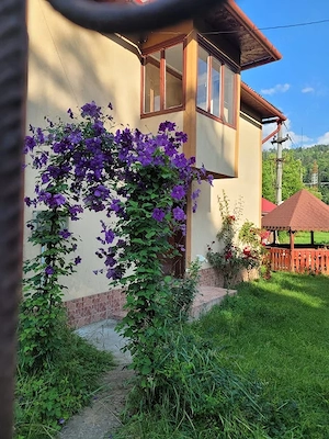 De vânzare casă cu 1500 mp teren intravilan 