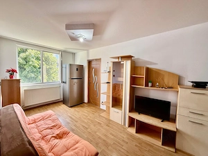 Apartament 3 camere, etaj 2 zona Dacia  - imagine 7