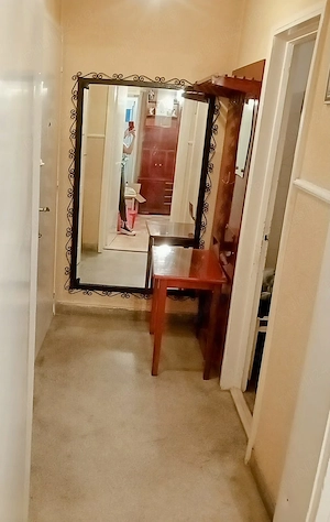 Apartament de vanzare 2 camere Spitalul Judetean - imagine 10