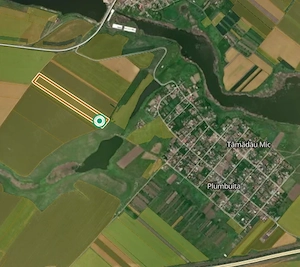 Vând teren agricol   1 hectar   Tămădău Mare, Călărași - imagine 2
