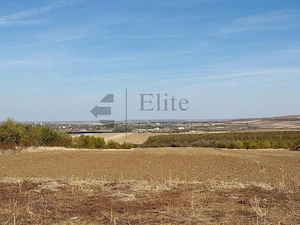 Teren de vanzare  Paleu I 10827mp I un km de la sosea