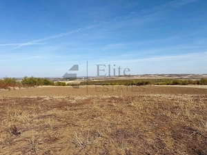 Teren de vanzare  Paleu I 10827mp I un km de la sosea - imagine 2