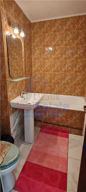 Apartament 2 camere decomandat Bd Alexandru cel Bun - imagine 5