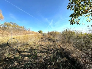 Cabană de vânzare, 100 mp, zona Bărăbanț - imagine 8