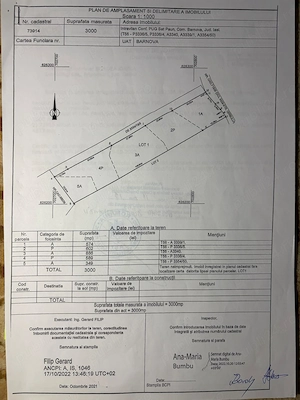 Teren intravilan 3.000 mp în Păun   utilități la poartă, lângă pădure - imagine 3