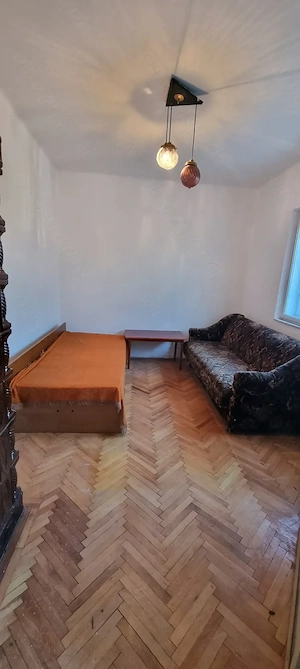 Casă cu PERSONALITATE, curte GENEROASĂ şi potenţial MARE    Beiuş, str. Alexandru Ioan Cuza - imagine 5