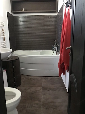 Apartament cu 2 camere de închiriat în Dumbrăvița - imagine 4