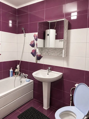 Casa noua -2015  in zona alexandu cel bun   - imagine 7
