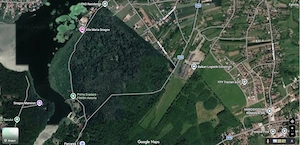 Teren de 500 mp, la marginea Pădurii Snagov – Șanțu-Florești, Ilfov - imagine 4