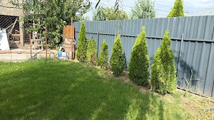 Vând teren casa  in Bucesti, Ivesti Galați  - imagine 9