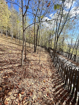 Teren baia de fier strada valea viilor  - imagine 4