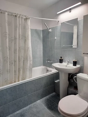 apartament 2 camere-teiul doamnei-modern-facultatea de constructii - imagine 7