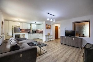 Casa parter, renovata, mobilata, gradina amenajata, str Petofi Sandor-Dumbravita - imagine 2