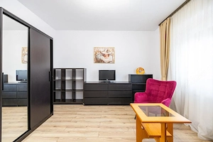 Casa parter, renovata, mobilata, gradina amenajata, str Petofi Sandor-Dumbravita - imagine 10