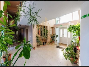 Proprietate Premium cu Piscină – 450 MP – De Închiriat în Timișoara - imagine 6