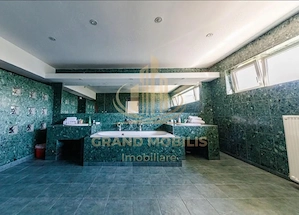 Proprietate Premium cu Piscină – 450 MP – De Închiriat în Timișoara - imagine 16