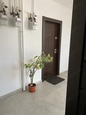 Ofer spre inchiriere apartament 2 camere, Dumbravita, Timis, Str. Mures, etaj. 1 - imagine 9