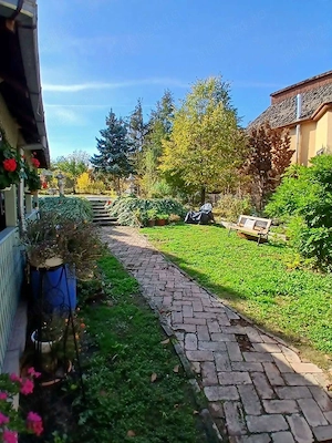 De vanzare casa cu 39 ari de teren in Viile Sm - imagine 10