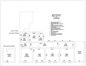 Casă 4 camere cu arhitectură istorică și farmec aparte in Nadlac - imagine 3