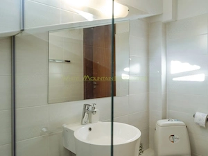 Penthouse 2 camere, inchiriere lunga durata, Herastrau - imagine 17