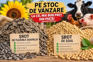 Vindem șrot de soia si floarea soarelui