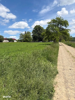 Teren intravilan în Mitocași 48000 euro - imagine 5