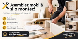 montez mobila si asamblez