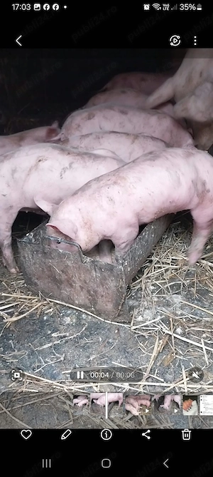 landras 9 saptamani