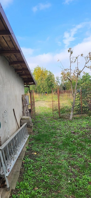 Vand Casa Bolintin Vale - imagine 10