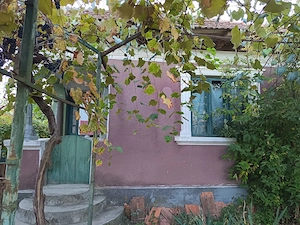 Vand casa in comuna Plopsoru  sat Piscuri  - imagine 3