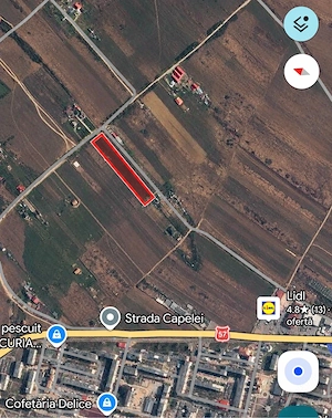    Teren de vanzare Moldova Noua | 2.500 MP  - imagine 3