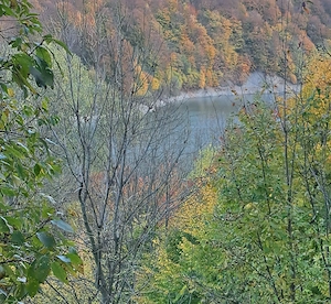 Vand teren cu vedere la lac, Valea Doftanei,Strada Lacului - imagine 3
