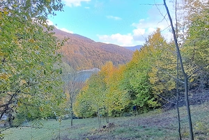 Vand teren cu vedere la lac, Valea Doftanei,Strada Lacului - imagine 2